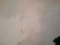 Classic-wolf's Photo