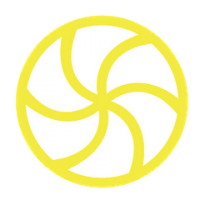 Cursed Lemon's Photo